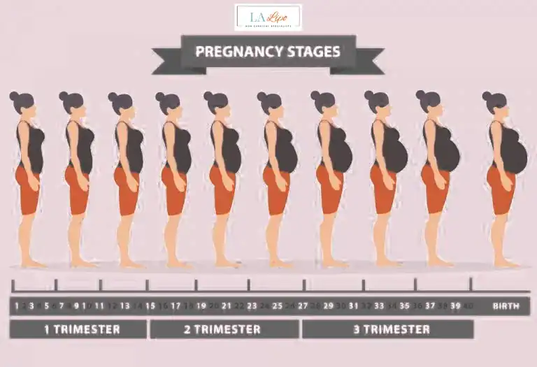 First Trimester (Weeks 1–12): Early Changes You Might Not Notice Berkhamsted